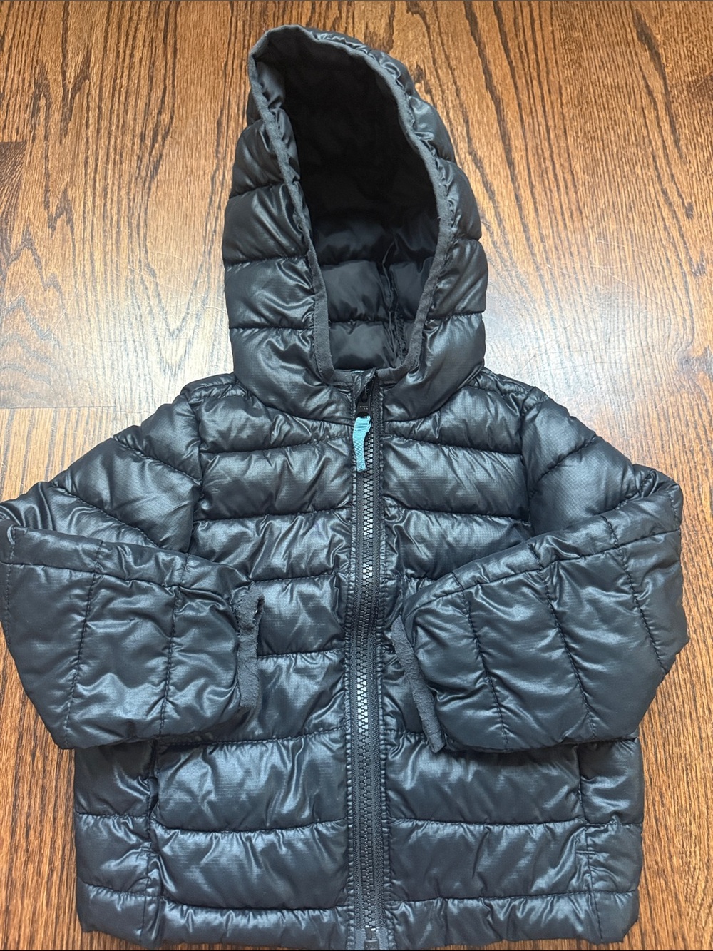 Toddler Black Hooded Puffer Jacket